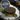Caviar Uraqi